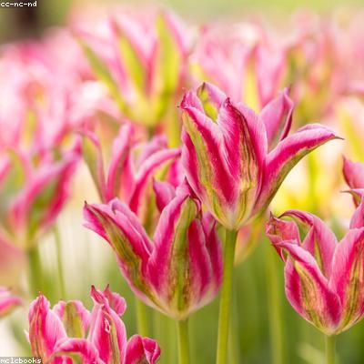 智能节能